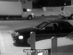 Parking Lot Security Blowjob Porn Babes Tv